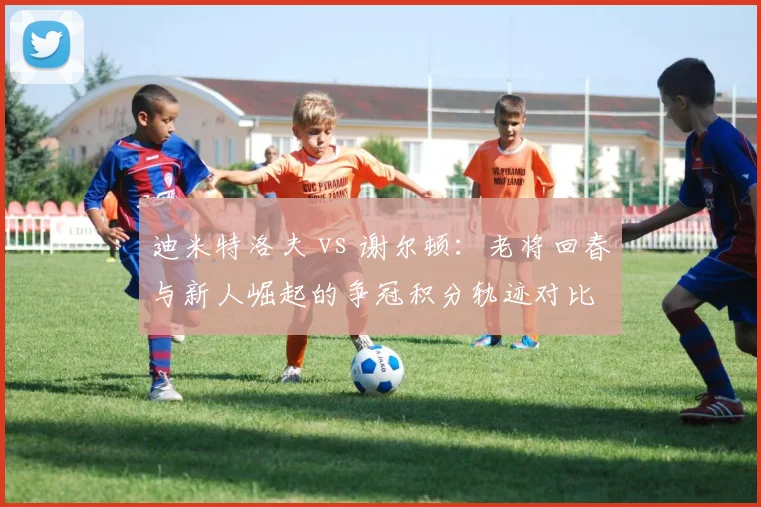 迪米特洛夫 vs 谢尔顿：老将回春与新人崛起的争冠积分轨迹对比