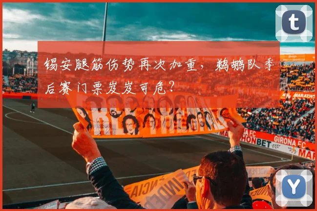 锡安腿筋伤势再次加重，鹈鹕队季后赛门票岌岌可危？