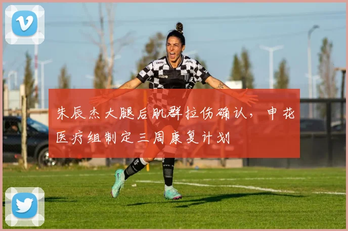 朱辰杰大腿后肌群拉伤确认，申花医疗组制定三周康复计划